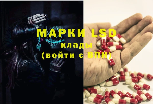 СК Надым