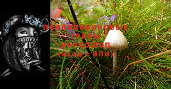 соль курить ск Кукмор