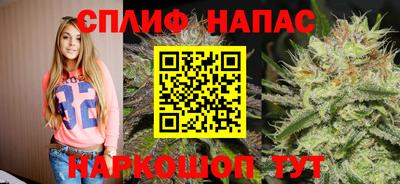 гашик Изобильный