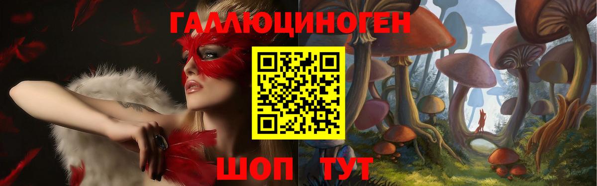 Псилоцибиновые грибы GOLDEN TEACHER Советск